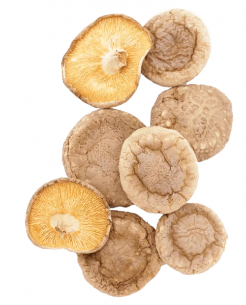 HAWLIK Shiitakepilze getrocknet