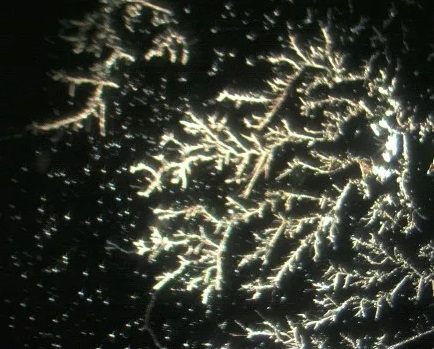 OrthoCell balance OH- Lösung (1000ml)