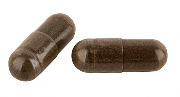 HAWLIK Bio Chaga Extrakt Kapseln