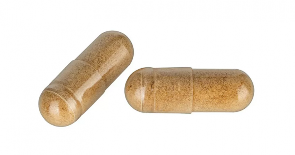 HAWLIK Bio Champignon Extrakt Kapseln